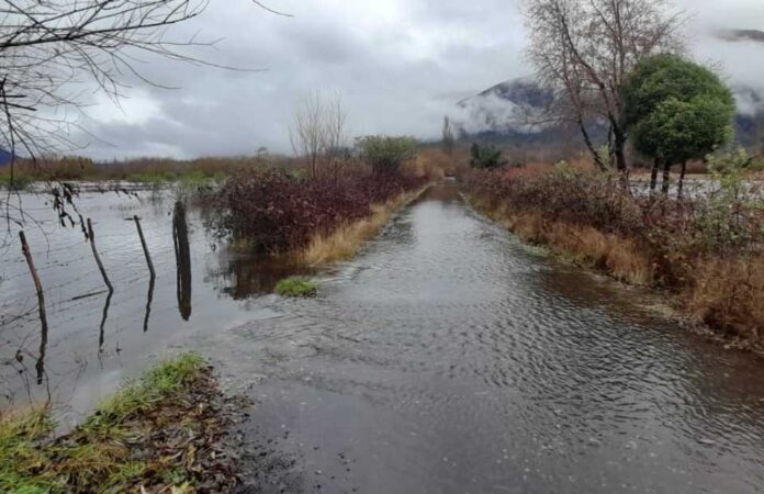 Minagri y BID invitan a participar en el seminario “Avances y desafíos de la Gestión de Riesgo de Desastres en el sector silvoagropecuario chileno”