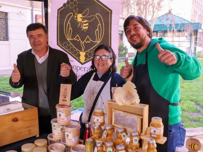 Ministerio de Agricultura celebra el Día de la Miel y destaca crecimiento de su exportación