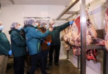 Ministerio de Agricultura refuerza fiscalización del SAG y llama a comprar carne en lugares autorizados en vísperas de Fiestas Patrias Ministerio de Agricultura refuerza fiscalización del SAG y llama a comprar carne en lugares autorizados en vísperas de Fiestas Patrias