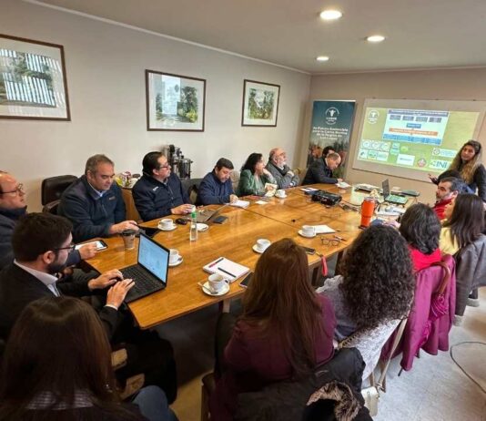 PTI de la Carne Bovina de Los Lagos inicia su tercer año fortaleciendo su red colaborativa con nuevos actores estratégicos