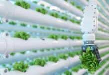 Premio Nacional de Innovación Alimentaria reconocerá los productos y servicios más destacados de la industria