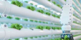 Premio Nacional de Innovación Alimentaria reconocerá los productos y servicios más destacados de la industria