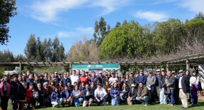 Primer Seminario regional de Papayo Innovación y manejo frente a heladas en Cobquecura Primer Seminario regional de Papayo Innovación y manejo frente a heladas en Cobquecura