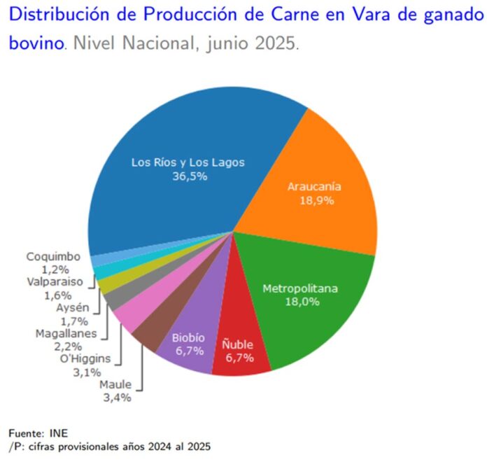 Producción de carne en vara de ganado bovino de la Región del Biobío presentó un incremento interanual de 29,9% en junio de 2025 Producción de carne en vara de ganado bovino de la Región del Biobío presentó un incremento interanual de 29,9% en junio de 2025