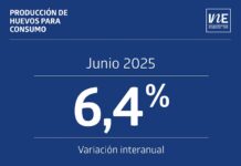 Producción de huevos de consumo presentó un aumento interanual de 6,4% en junio de 2025 Producción de huevos de consumo junio de 2025
