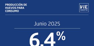 Producción de huevos de consumo junio de 2025