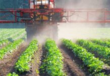 Gobierno refuerza protección sanitaria de la agricultura nacional con sanciones de cárcel por ingreso de plagas en Proyecto de Ley