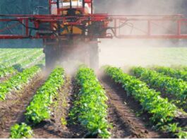 Gobierno refuerza protección sanitaria de la agricultura nacional con sanciones de cárcel por ingreso de plagas en Proyecto de Ley