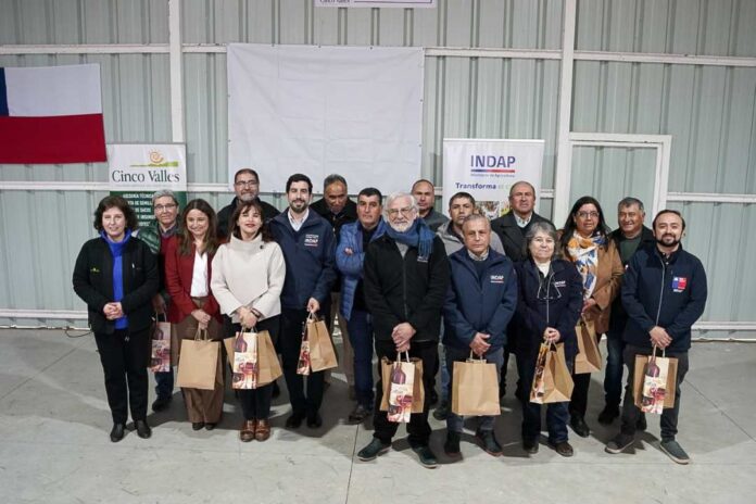 Proveedores campesinos venden por primera vez al Estado hortalizas, fruta y miel a través de ChileCompra Proveedores campesinos venden por primera vez al Estado hortalizas, fruta y miel a través de ChileCompra