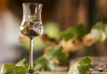 “Puro Pisco” llega al Mercado Urbano Tobalaba con más de 30 expositores y entrada gratuita “Puro Pisco” llega al Mercado Urbano Tobalaba con más de 30 expositores y entrada gratuita