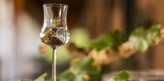 “Puro Pisco” llega al Mercado Urbano Tobalaba con más de 30 expositores y entrada gratuita