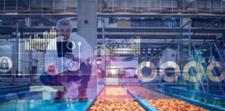 RTIAP amplía la frontera tecnológica en el monitoreo de túneles de prefrío para la fruticultura chilena