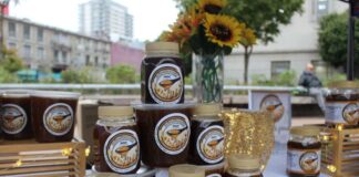 Realizarán feria para conmemorar el Dia Nacional de Miel en pleno centro de Concepción