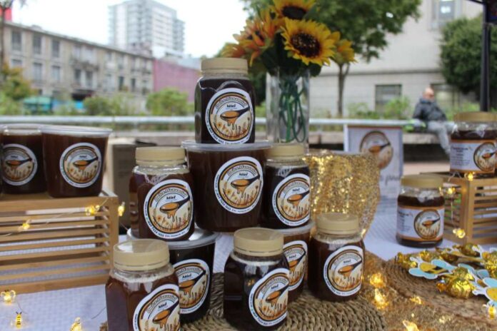 Realizarán feria para conmemorar el Dia Nacional de Miel en pleno centro de Concepción Realizarán feria para conmemorar el Dia Nacional de Miel en pleno centro de Concepción