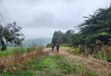 Regantes de Canela incrementan seguridad hídrica gracias a las obras de revestimiento en canal Millahue Uno Regantes de Canela incrementan seguridad hídrica gracias a las obras de revestimiento en canal Millahue Uno