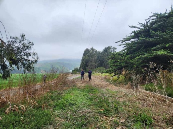 Regantes de Canela incrementan seguridad hídrica gracias a las obras de revestimiento en canal Millahue Uno (1) Regantes de Canela incrementan seguridad hídrica gracias a las obras de revestimiento en canal Millahue Uno