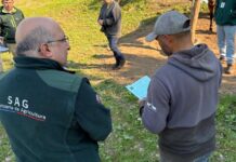 SAG Ñuble muestrea más de 1.150 equinos en búsqueda activa de Anemia Infecciosa