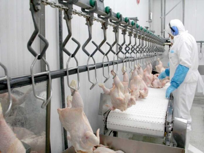 SAG suspende temporalmente importaciones avícolas desde Argentina ante brote de influenza aviar altamente patógena SAG suspende temporalmente importaciones avícolas desde Argentina ante brote de influenza aviar altamente patógena