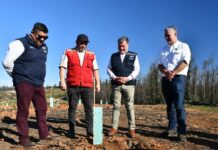 Se plantarán 70.000 árboles nativos Más de 40 % de avance registra reforestación en la Reserva Nacional Lago Peñuelas