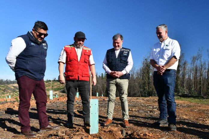 Se plantarán 70.000 árboles nativos Más de 40 % de avance registra reforestación en la Reserva Nacional Lago Peñuelas Se plantarán 70.000 árboles nativos Más de 40 % de avance registra reforestación en la Reserva Nacional Lago Peñuelas