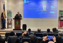 Seminario de PEFC en Concepción destacó la urgencia de políticas integradas para un desarrollo forestal sostenible