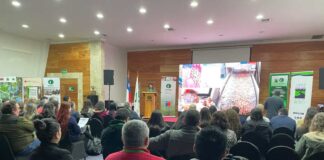 Seminario internacional sobre biomasa y biocombustibles reúne a expertos en el Biobío para proyectar el desarrollo del sector energético forestal