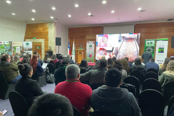 Seminario internacional sobre biomasa y biocombustibles reúne a expertos en el Biobío para proyectar el desarrollo del sector energético forestal Seminario internacional sobre biomasa y biocombustibles reúne a expertos en el Biobío para proyectar el desarrollo del sector energético forestal