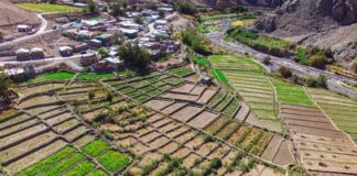 Tarapacá será sede del II Seminario Internacional sobre tecnología y saberes ancestrales