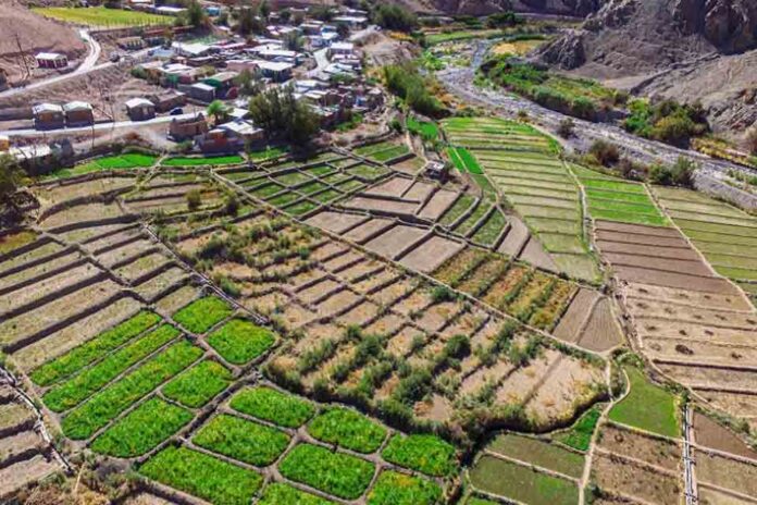 Tarapacá será sede del II Seminario Internacional sobre tecnología y saberes ancestrales