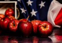 Temporada de manzanas 2025 en EE.UU. llega con fuerza Temporada de manzanas 2025 en EE.UU. llega con fuerza