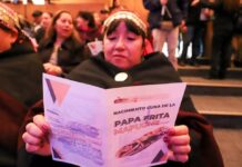 Un estudio histórico vincula el origen de las papas fritas a una fiesta en Nacimiento, en la región del Biobío