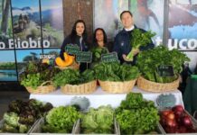Feria Campesina Biobío tiene nueva ubicación en Los Ángeles Feria Campesina Biobío tiene nueva ubicación en Los Ángeles