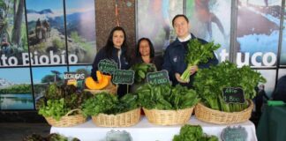 Feria Campesina Biobío tiene nueva ubicación en Los Ángeles