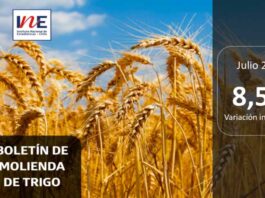 Cifras de molienda de trigo correspondiente a julio de 2025 INE Biobío publica cifras de molienda de trigo correspondiente a julio de 2025