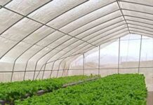 Agricultores de Mejillones buscan diversificar negocio y ser centro de distribución local Agricultores de Mejillones buscan diversificar negocio y ser centro de distribución local