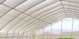 Agricultores de Mejillones buscan diversificar negocio y ser centro de distribución local