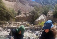 CONAF plantó más de 400 árboles en camino al Santuario de las Virgen de las Peñas CONAF plantó más de 400 árboles en camino al Santuario de las Virgen de las Peñas