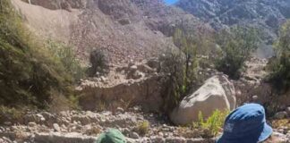 CONAF plantó más de 400 árboles en camino al Santuario de las Virgen de las Peñas