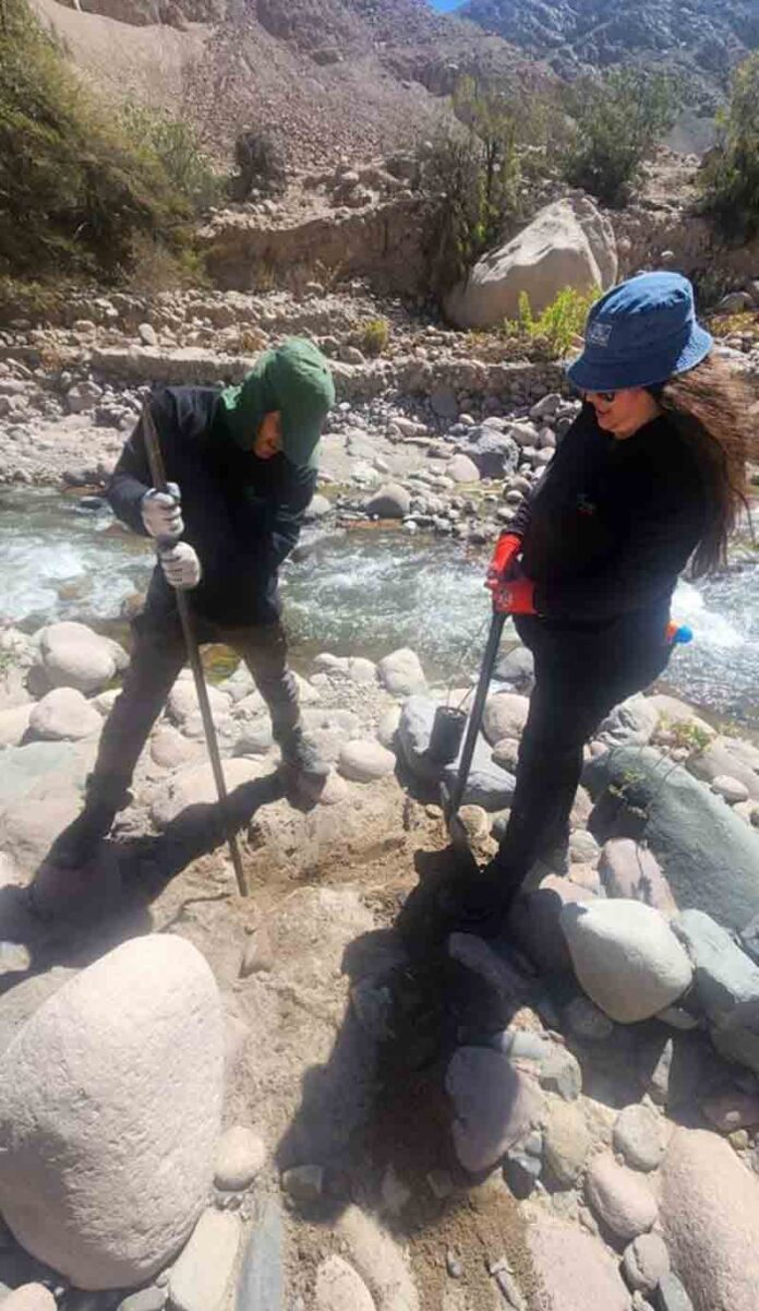 CONAF plantó más de 400 árboles en camino al Santuario de las Virgen de las Peñas