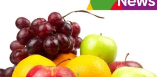 ProChile: Exportadores chilenos buscan ampliar presencia de frutas frescas en Panamá