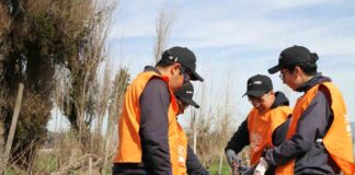 UTalca celebra la Fiesta de la Poda en Colchagua vinculando tradición, academia y territorio