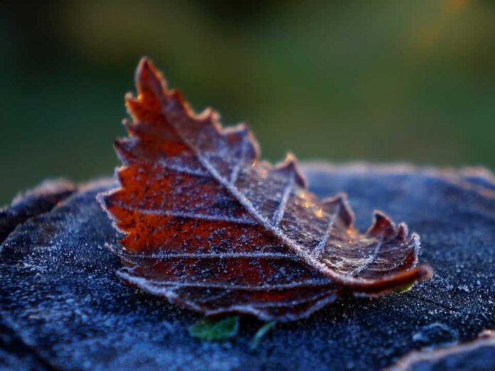 ¿Frío, lluvias, sol Cómo viene lo que queda de invierno ¿Frío, lluvias, sol? Cómo viene lo que queda de invierno