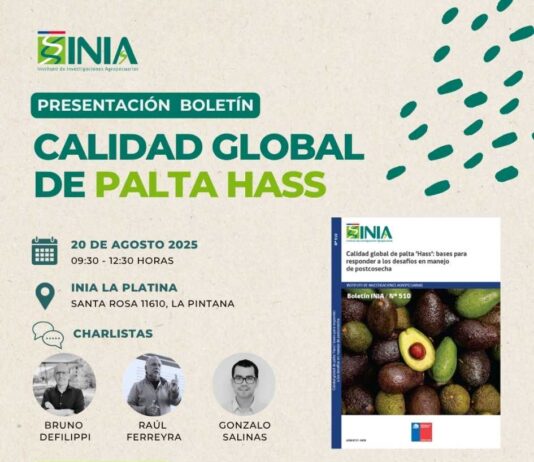 ¿Produces y exportas palta? Este seminario es para ti