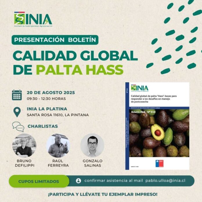 ¿Produces y exportas palta? Este seminario es para ti