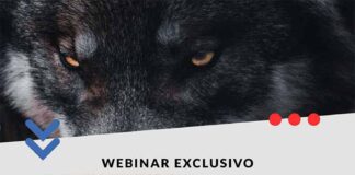 ¿Viene el lobo o viene la oportunidad? A un año de la implementación de la Ley Karin: avances, desafíos y aprendizajes en la prevención del acoso laboral, sexual y la violencia en el trabajo.