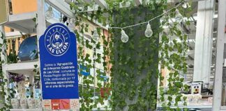 ALFARERAS DE FLORIDA LLEGAN AL RETAIL CON APOYO DE INDAP