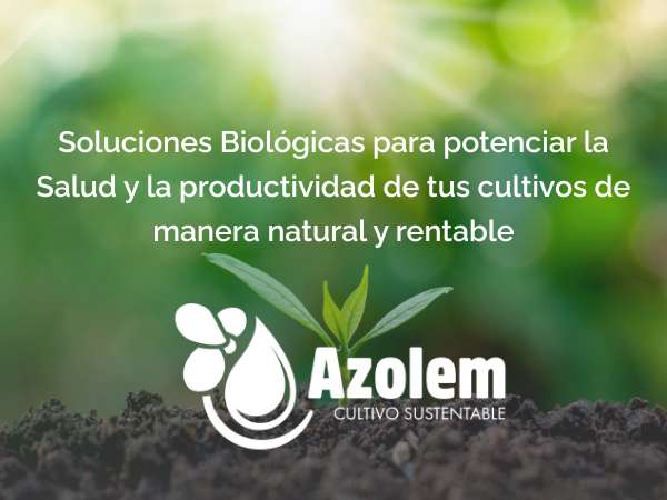 AZOLEM cultivos sustentables