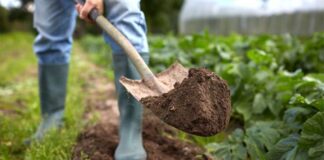 Abren segundo concurso para mejorar fertilidad de suelos en Los Ríos con $1.232 millones