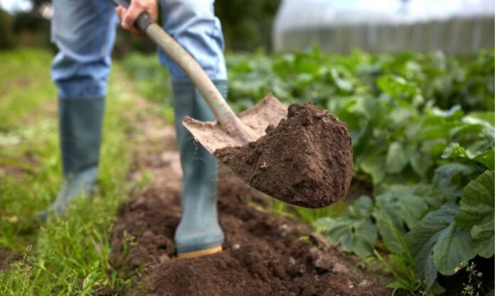 Abren segundo concurso para mejorar fertilidad de suelos en Los Ríos con $1.232 millones