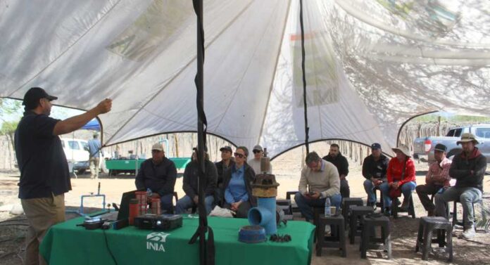 Agricultores se capacitan en eficiencia de equipos de riego Agricultores se capacitan en eficiencia de equipos de riego